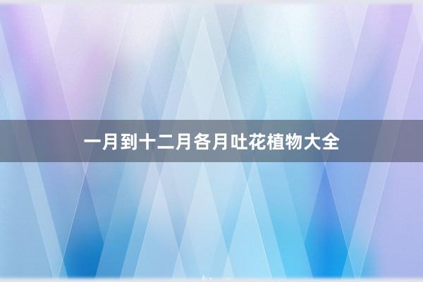 一月到十二月各月吐花植物大全