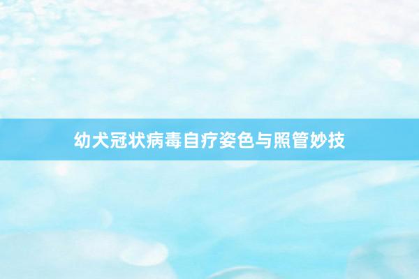幼犬冠状病毒自疗姿色与照管妙技