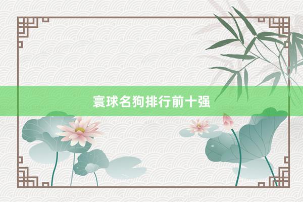 寰球名狗排行前十强